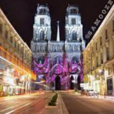 Chaleureux Appart, Proche De La Loire Avec Parking Orléans Exteriér fotografie