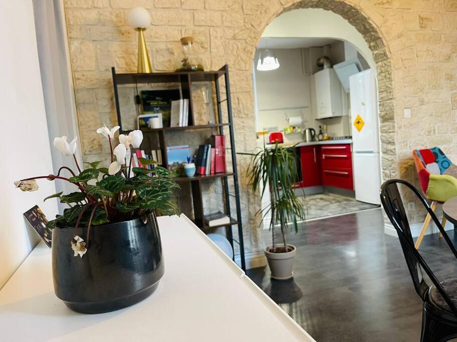 Chaleureux Appart, Proche De La Loire Avec Parking Orléans Exteriér fotografie