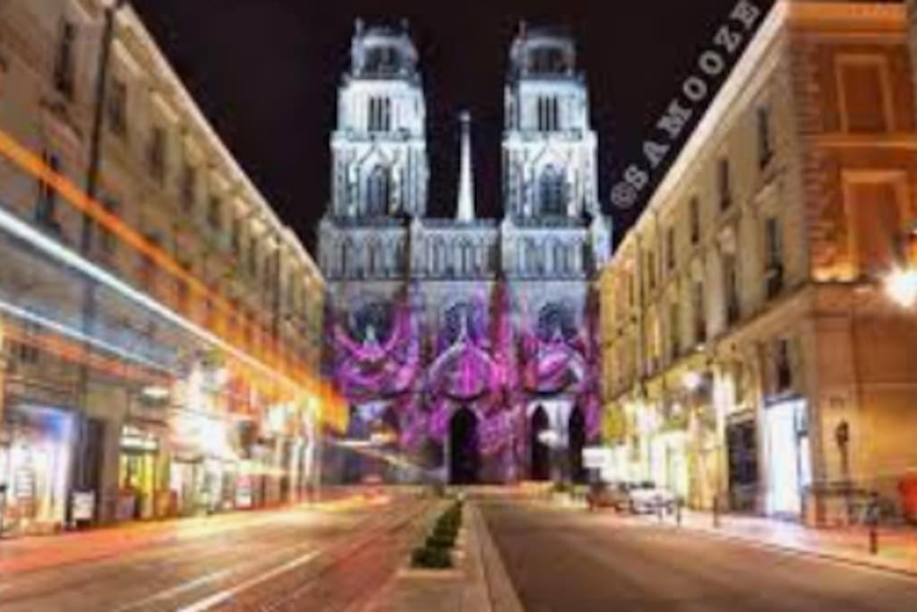 Chaleureux Appart, Proche De La Loire Avec Parking Orléans Exteriér fotografie